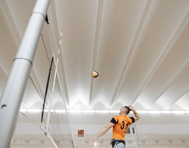 7 day training program for volleyball pdf
