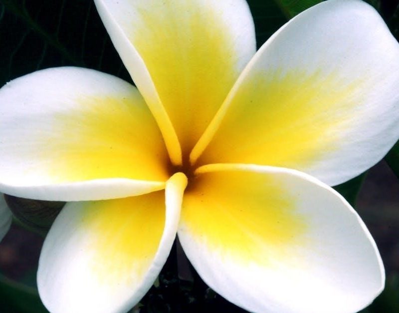 js bull ebike controller manual