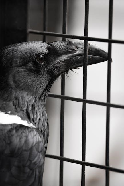 florida bar study guide