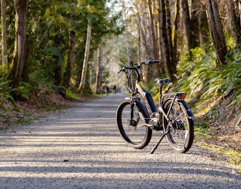 aventon level 2 manual