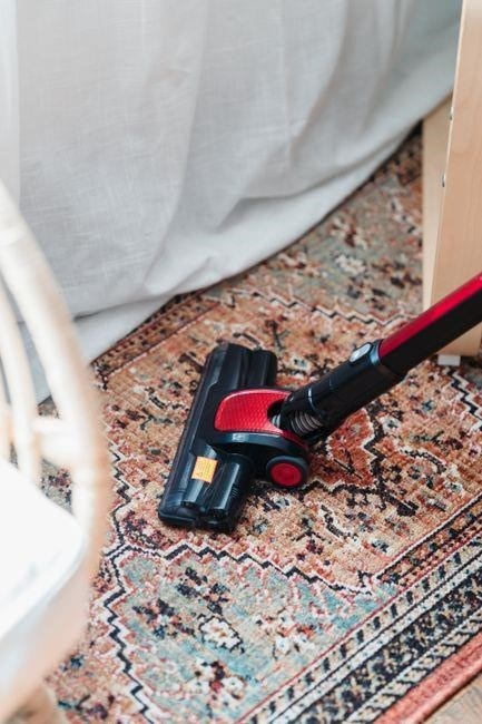 hoover dual power max pet carpet cleaner manual